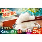 米 3回定期便 くまさんの輝き 白米 5kg