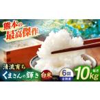 米 6回定期便 くまさんの輝き 白米 10kg