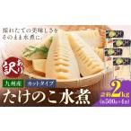 野菜類 訳あり たけのこ 水煮 カットタイプ