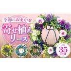 花 苗木 季節のお花の寄せ植えリース35センチ