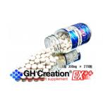加工品等 GH-Creation EX++