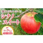 ふるさと納税 りんご 長野県 豊丘村  家庭用 りんご シナノスイート 約5kg 2026年4月下旬まで順次発送 スマートフレッシュ｜ 林檎｜リンゴ｜12〜20玉｜フルー…