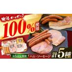 ショッピングふるさと納税 ハンバーグ ふるさと納税 ハム・ソーセージ・ハンバーグ 岐阜県 瑞浪市  6回定期便 ハム・ソーセージ 瑞浪ボーノポーク お試し 5種セット 600g (冷凍) 瑞浪市 ／ きなぁた…