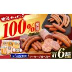 ショッピングふるさと納税 ハンバーグ ふるさと納税 ハム・ソーセージ・ハンバーグ 岐阜県 瑞浪市  3回定期便 ソーセージ 瑞浪ボーノポーク 食べ比べ 6種 1kg セット (冷凍) 瑞浪市 ／ きなぁた瑞浪…