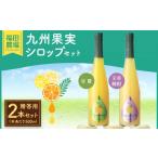 果汁飲料 セット 九州果実シロップ 2本セット