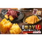 野菜類 サツマイモ 焼き芋紅はるか1kgと焼き芋職人の干し芋…