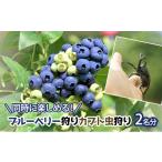 fu.... налог body . билет Nagano префектура маленький различные город в то же время можно наслаждаться голубика ..* Kabuto насекомое .. Nagano префектура внизу максимальный класс body . билет No.5915-1207