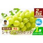 ぶどう マスカット 2ヶ月定期便 秀品 シャインマスカット