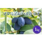 果物類 及川農園 プレミアムハスカップ 1kg