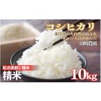 米 コシヒカリ 令和7年産 山崎さんのこしひかり精米10kg