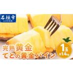 果物類 お試し用 完熟黄金 てとの黄金パイン 1玉