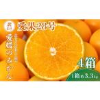 みかん 柑橘類 2026年 愛果28号 約3.3kg×4箱