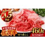 A4 A5等級 佐賀牛 切り落とし 460g