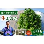 のり 海藻 上五島産 生あおさ 100g×5袋