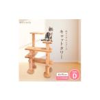 ねこハウスシリーズ キャットタワー シンプル40シリーズTyp…