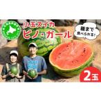 fu.... налог арбуз Hokkaido date город предшествующий предварительный заказ Hokkaido date производство маленький шар арбуз " Pinot * девушка " tom-001