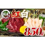 馬肉 令和8年熊本地震復興支援 熊本肥育