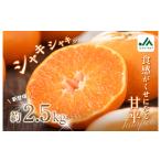甘平 レギュラー箱 約2.5kg