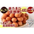 ふるさと納税 卵（鶏、烏骨鶏等） 宮崎県 新富町  配送開始月が選べる 児湯養鶏自慢の卵 ネッカリッチ赤たまご「児湯一番」 計480個 （20個入×2箱）×12か月…