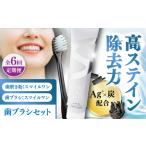 美容 全6回定期便 歯ブラシセット SMILE
