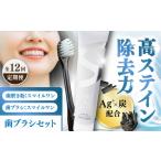 美容 全12回定期便 歯ブラシセット SMILE