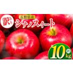 田原産 リンゴ シナノスイート 訳あり 約10kg