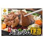 羊肉 小林ジンギスカンの特上ラムセット