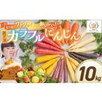 野菜類 人参 〈予約受付〉メディア出演多数