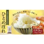 ふるさと納税 米 ひと�