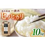 ヒノヒカリ 白米10kg 白米 コメ ごはん