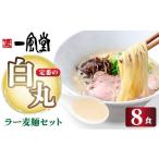 ふるさと納税 ラーメン とんこつ 福岡県 那珂川市 福岡県産 ラー麦使用 現地でたべたい 「一風堂」白丸 ラー麦麺セット 8食 8食