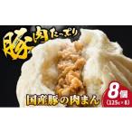 惣菜 レトルト 冷凍 豚の美味しい肉まん 豚まん