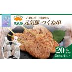 肉 産三元豚 元気豚 つくね串 20本セット 合計1.6kg