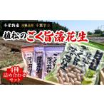 和菓子 千葉特産 高級品種 千葉半立 植松のごく旨落花生
