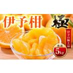 みかん 柑橘類 先行受付 昔ながらの美味しさ