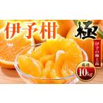 みかん 柑橘類 先行受付 昔ながらの美味しさ