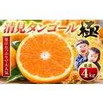 みかん 柑橘類 オレンジ 先行受付 オレンジ好き必見