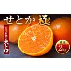 みかん 柑橘類 先行受付 極撰柑橘 雅プレミアム