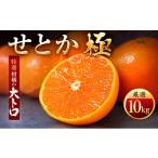 みかん 柑橘類 先行受付 毎年大 柑橘の大トロ