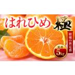 みかん 柑橘類 先行受付 香る柑橘 とろける甘み