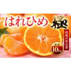 みかん 柑橘類 先行受付 香る柑橘 とろける甘み