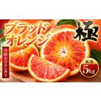 みかん 柑橘類 オレンジ 先行受付 愛媛名産