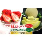 いちご 発送月固定定期便 紅ほっぺとクラウンメロン