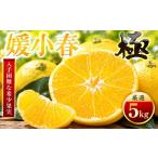 みかん 柑橘類 先行受付 なくなり次第終了