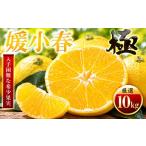 みかん 柑橘類 先行受付 なくなり次第終了