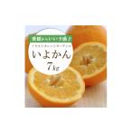 みかん 柑橘類 先行受付 愛媛から いい予感