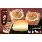 焼菓子 チョコレート 銘菓 絹の月 10個入り