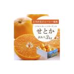 みかん 柑橘類 先行受付 とろける濃厚柑橘