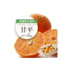 みかん 柑橘類 先行受付 愛媛 栽培柑橘 甘平