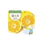 みかん 柑橘類 先行受付 希少柑橘 媛小春 ひめこはる 2.5kg